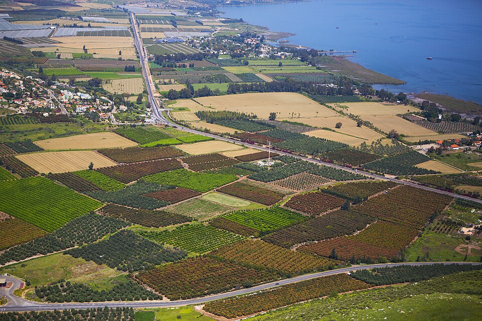 Patchwork fields running down to the Sea of Galilee, seen from Mount Arbel